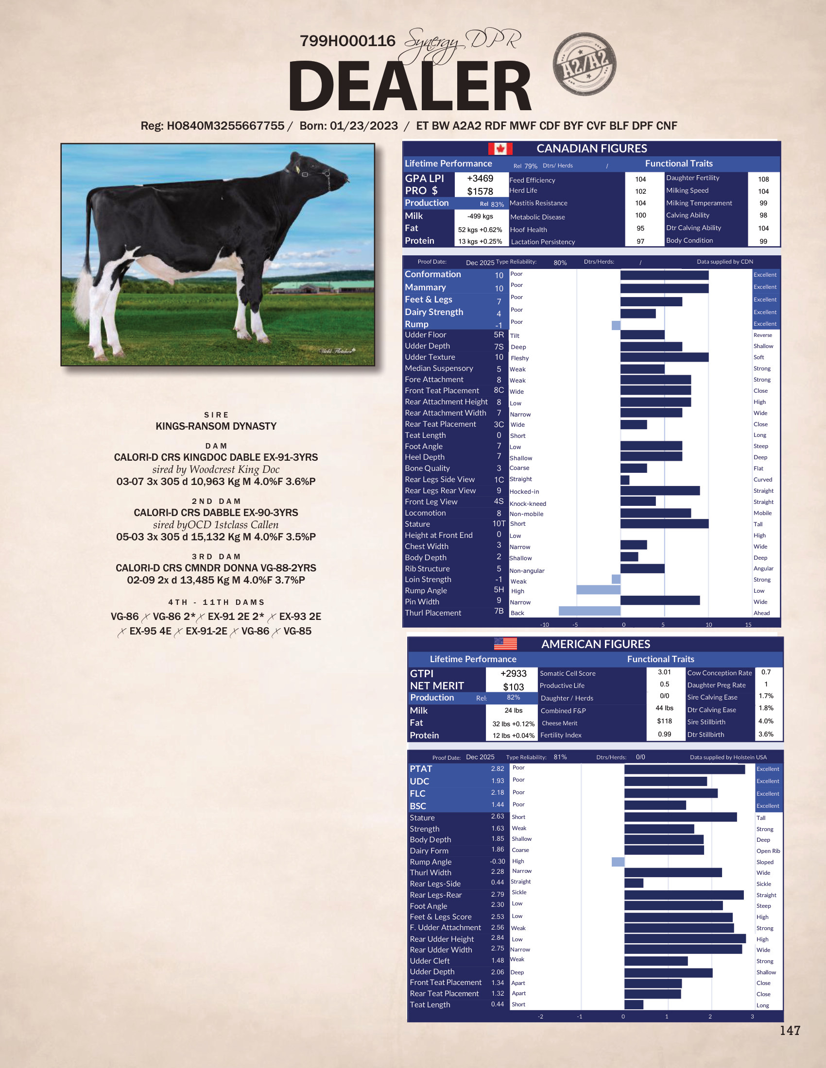 DEALER — 799HO00116